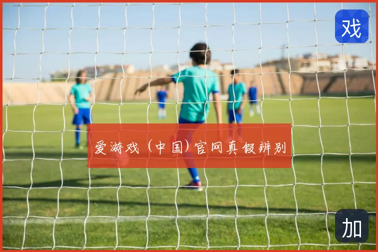 爱游戏 (中国)官网真假辨别
